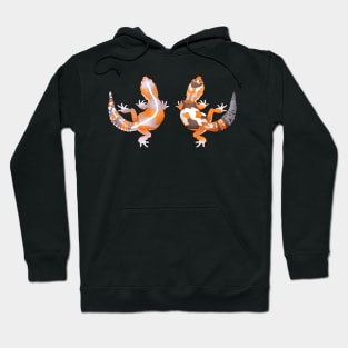 African Fat Tailed Gecko Pattern Hoodie